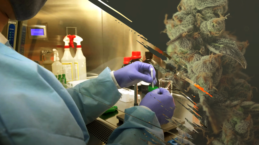 regulated hemp products lab testing facility