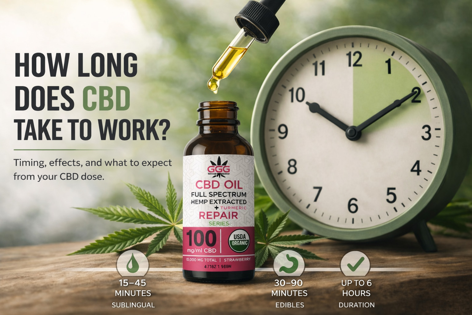 CBD oil timing showing how long CBD takes to work