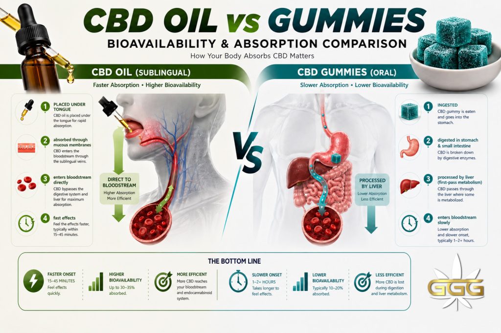 CBD oil vs gummies absorption bioavailability comparison diagram