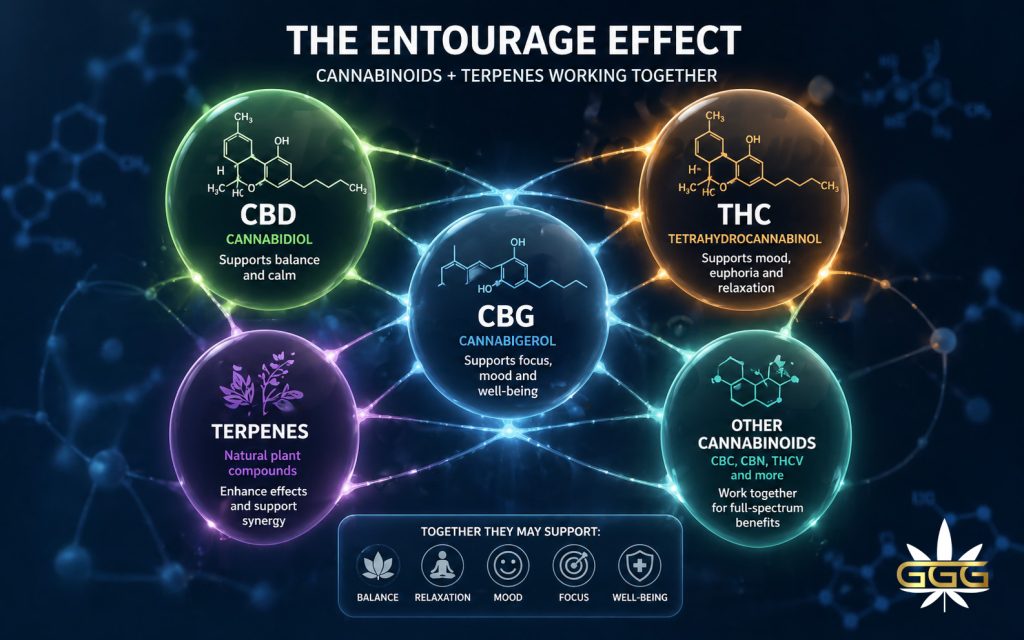 entourage effect cannabinoids working together cbd thc cbg terpenes
