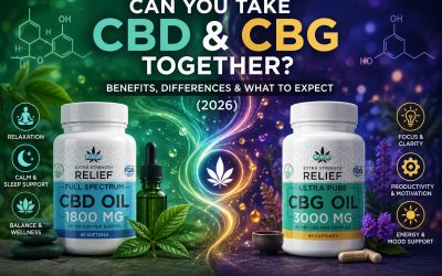 Can You Take CBD and CBG Together? Benefits, Differences & What to Expect (2026)