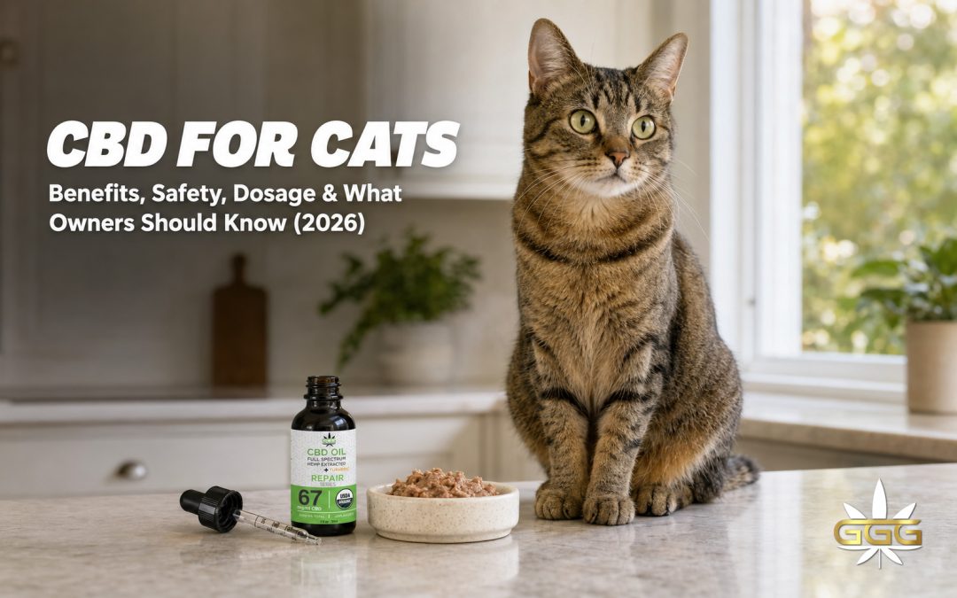 CBD for Cats: Benefits, Safety, Dosage & What Cat Owners Should Know (2026 Guide)