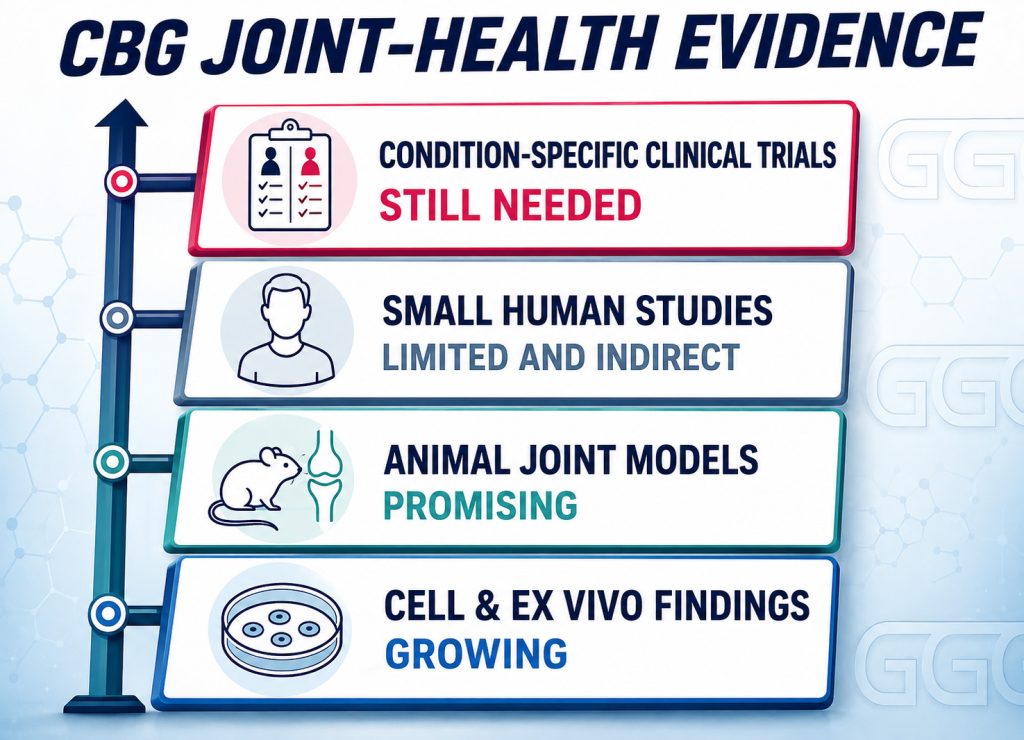 Evidence ladder showing CBG joint research from cells and animals to the need for human clinical trials