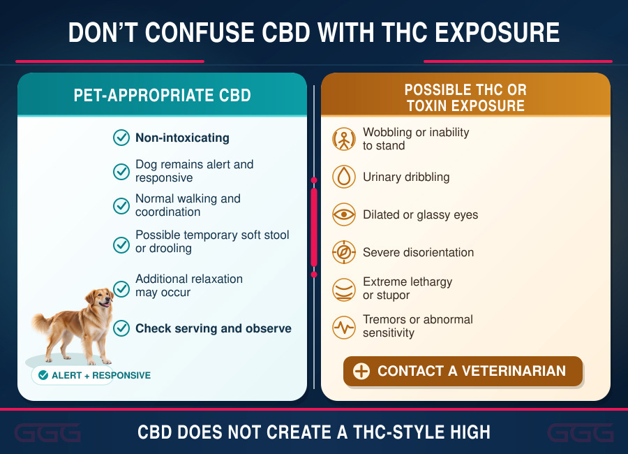 Comparison between possible mild CBD observations and warning signs of THC exposure in dogs